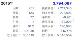 2015年年間収支