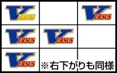 VERSUS(バーサス)