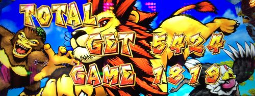 獣王覚醒結果2