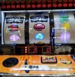 熊酒場 稼働報告2