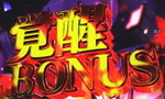 エヴァンゲリオン12 響きあう心 覚醒ボーナス