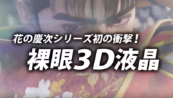 真・花の慶次2 3D液晶