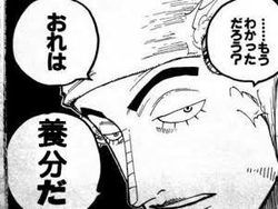養分