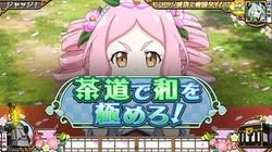 茶道で和を極めろ！