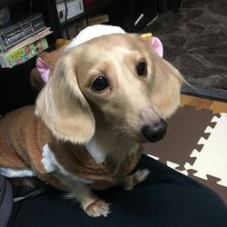 タイゾウさん