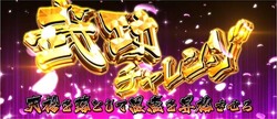 武功チャレンジ