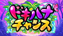 ドキハナチャンス