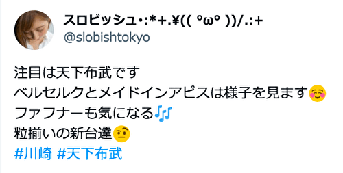 真天下布武 評価1