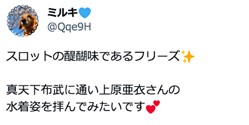 真天下布武 評価2