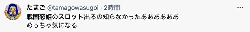 戦国恋姫_ネット上の声1