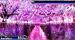 スマスロラブ嬢3 通常時のステージ2